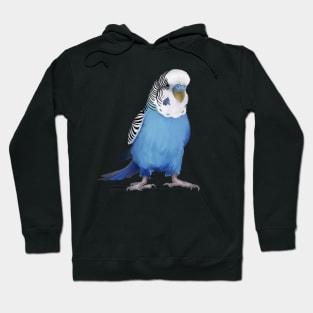 Australian Budgie/Blue/Parakeet/Budgerigar/Bird Hoodie